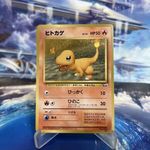 Charmander LV.10 No.004