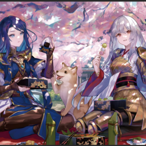 Game mat   MTG Playmats (1)